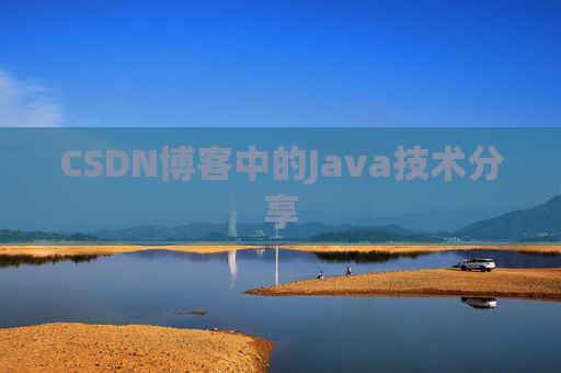 CSDN博客中的Java技术分享